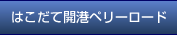 はこだて開港ペリーロード